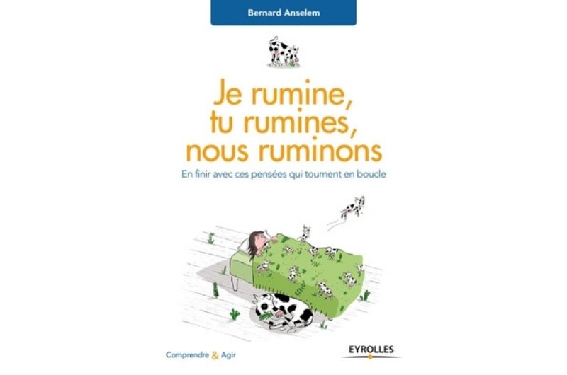 Je rumine, tu rumines, nous ruminons - Bernard Anselem